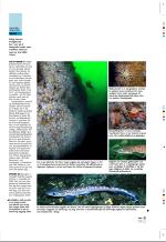 aftenbladet_pluss-20080711_000_00_00_009.pdf