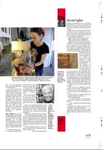 aftenbladet_pluss-20080711_000_00_00_023.pdf