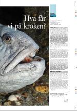 aftenbladet_pluss-20080718_000_00_00_009.pdf