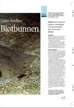 aftenbladet_pluss-20080725_000_00_00_009.pdf