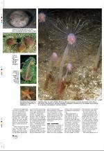 aftenbladet_pluss-20080725_000_00_00_010.pdf