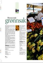 aftenbladet_pluss-20080801_000_00_00_028.pdf