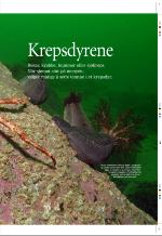 aftenbladet_pluss-20080808_000_00_00_009.pdf