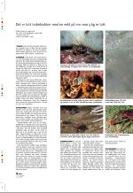 aftenbladet_pluss-20080808_000_00_00_010.pdf