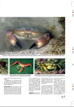 aftenbladet_pluss-20080808_000_00_00_011.pdf