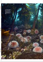 aftenbladet_pluss-20080815_000_00_00_010.pdf