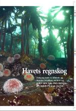 aftenbladet_pluss-20080815_000_00_00_011.pdf
