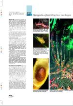 aftenbladet_pluss-20080815_000_00_00_012.pdf
