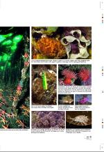 aftenbladet_pluss-20080815_000_00_00_013.pdf