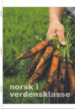 aftenbladet_pluss-20080815_000_00_00_024.pdf