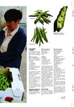aftenbladet_pluss-20080829_000_00_00_037.pdf