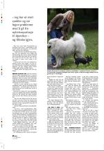 aftenbladet_pluss-20080905_000_00_00_030.pdf