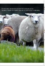 aftenbladet_pluss-20080926_000_00_00_011.pdf