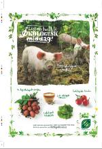 aftenbladet_pluss-20081003_000_00_00_064.pdf