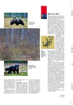 aftenbladet_pluss-20081024_000_00_00_007.pdf