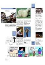 aftenbladet_pluss-20081031_000_00_00_006.pdf