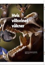 aftenbladet_pluss-20081107_000_00_00_023.pdf