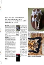 aftenbladet_pluss-20081107_000_00_00_024.pdf