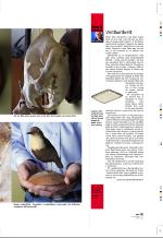 aftenbladet_pluss-20081107_000_00_00_025.pdf
