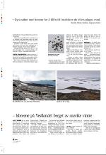 aftenbladet_pluss-20081107_000_00_00_032.pdf