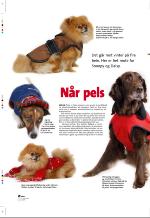 aftenbladet_pluss-20081205_000_00_00_028.pdf