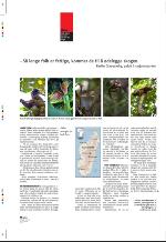 aftenbladet_pluss-20090109_000_00_00_012.pdf