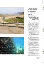 aftenbladet_pluss-20090109_000_00_00_015.pdf