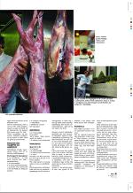 aftenbladet_pluss-20090130_000_00_00_031.pdf
