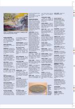aftenbladet_pluss-20090206_000_00_00_035.pdf