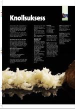 aftenbladet_pluss-20090220_000_00_00_032.pdf