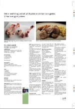 aftenbladet_pluss-20090403_000_00_00_043.pdf