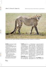 aftenbladet_pluss-20090417_000_00_00_022.pdf