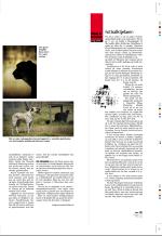 aftenbladet_pluss-20090417_000_00_00_023.pdf