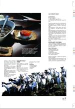 aftenbladet_pluss-20090508_000_00_00_031.pdf