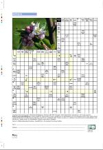 aftenbladet_pluss-20090508_000_00_00_060.pdf