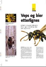 aftenbladet_pluss-20090626_000_00_00_006.pdf