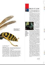 aftenbladet_pluss-20090626_000_00_00_007.pdf