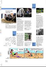 aftenbladet_pluss-20090703_000_00_00_004.pdf
