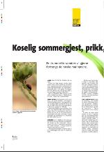 aftenbladet_pluss-20090710_000_00_00_006.pdf