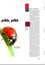aftenbladet_pluss-20090710_000_00_00_007.pdf