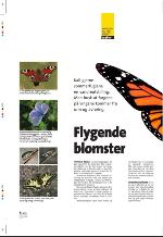 aftenbladet_pluss-20090717_000_00_00_006.pdf