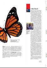 aftenbladet_pluss-20090717_000_00_00_007.pdf