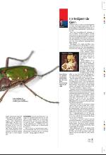 aftenbladet_pluss-20090731_000_00_00_007.pdf