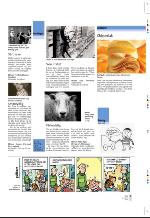 aftenbladet_pluss-20090807_000_00_00_005.pdf