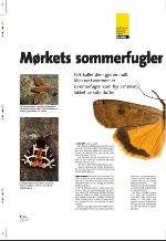 aftenbladet_pluss-20090807_000_00_00_006.pdf