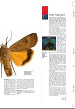 aftenbladet_pluss-20090807_000_00_00_007.pdf