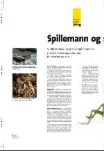 aftenbladet_pluss-20090814_000_00_00_008.pdf