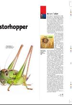 aftenbladet_pluss-20090814_000_00_00_009.pdf