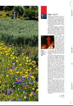 aftenbladet_pluss-20090828_000_00_00_011.pdf