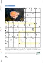 aftenbladet_pluss-20090828_000_00_00_062.pdf